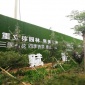 房地产项目围墙人工草坪-假草围挡坪-绿草皮围挡标准-报**惠